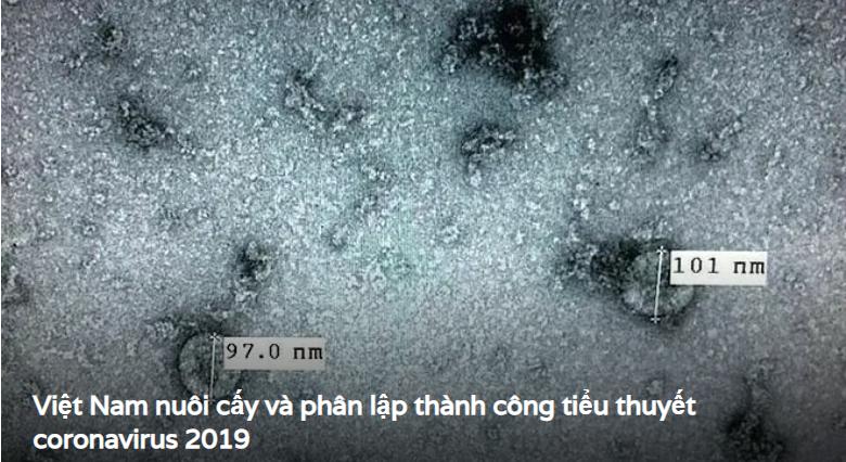 Việt Nam nuôi cấy và phân lập thành công virus corona mới