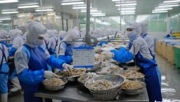 HSBC: Năm 2021, kinh tế Việt Nam sẽ tăng trưởng 8,1%