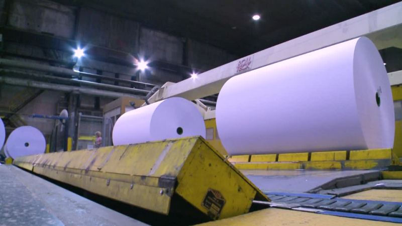 Năm 2021, sản xuất và tiêu thụ giấy của Trung Quốc đều đạt trên 120 triệu tấn