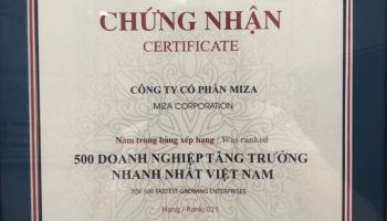 TOP 500 Doanh nghiệp tăng trưởng nhanh nhất Việt Nam (FAST500)
