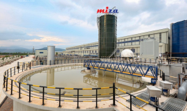 Công ty cổ phần Miza: Vững vàng phát triển trong ngành giấy