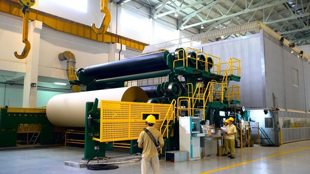 Ngành giấy: Thách thức mở rộng khi nhu cầu giấy bao bì tăng cao - Ảnh 2.